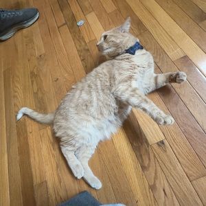 Meet your Posher, Eleanor